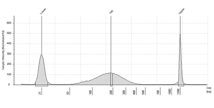 96-Well PCR Plate