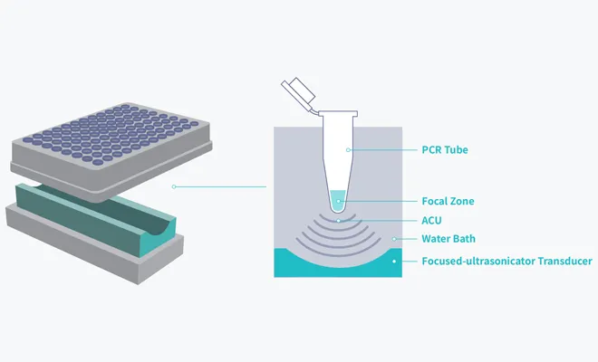EoSonics® FRAG8 Prodcut Application