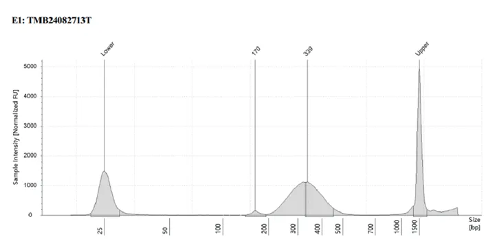 Fragmented FFPE Samples