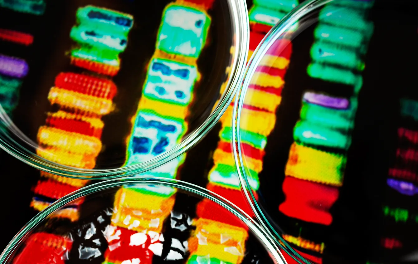 Sequencing Automated Sample Preparation Solution
