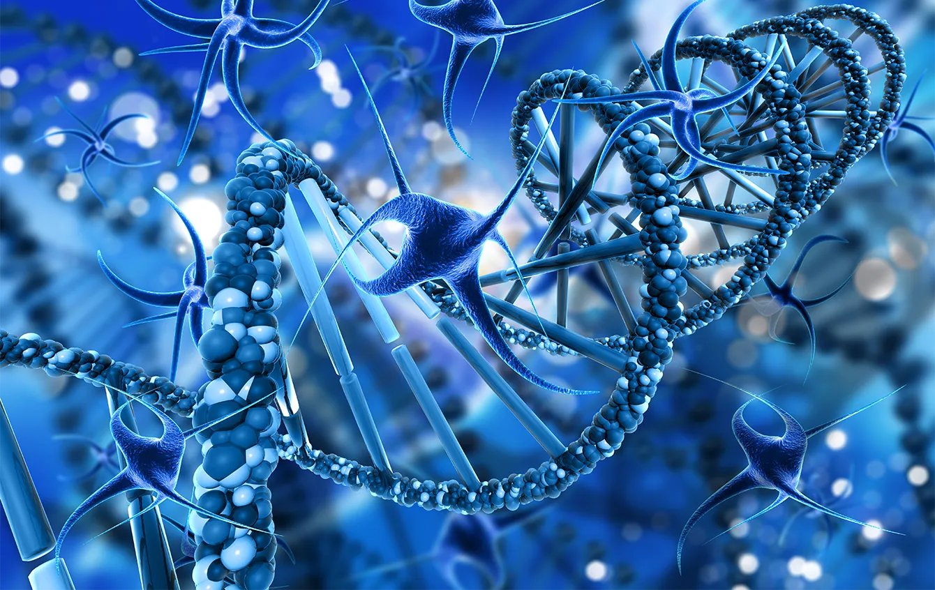 High-Throughput Screening Solution
