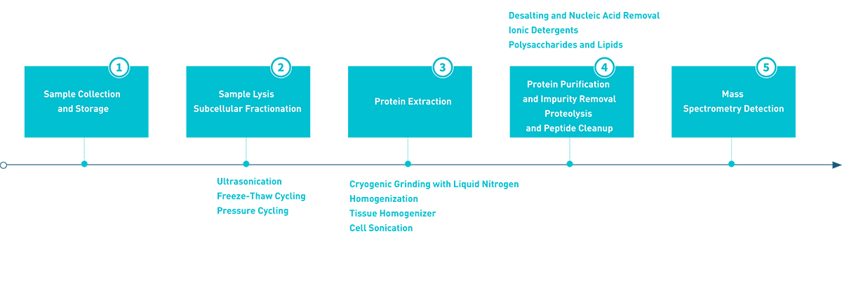 Automated Protein Sample Preparation Solution